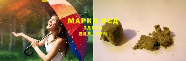 прущие грибы Михайловка
