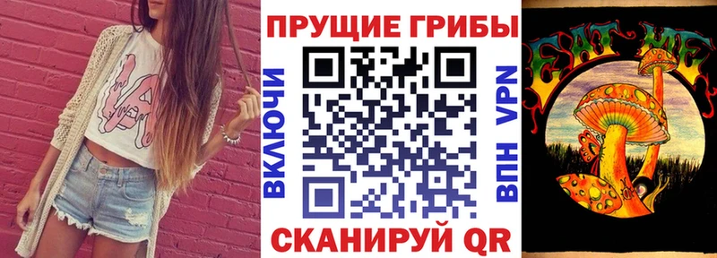 Галлюциногенные грибы Psilocybine cubensis  Котельнич 